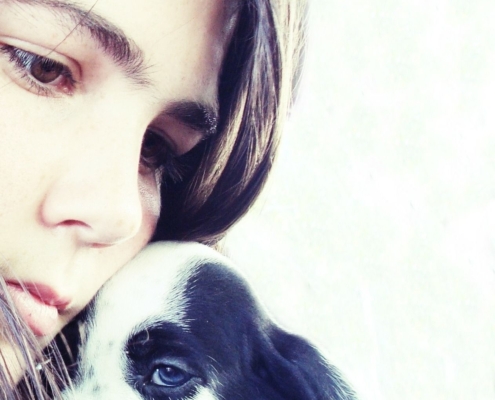 Bild von Filipa Santos auf Pixabay