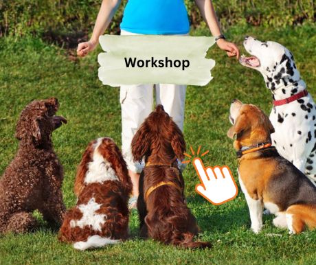 Workshop Hundeschule Stuttgart