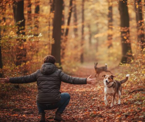 Zuverlässiger Rückruf