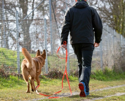 Radiustraining = entspannter Freilauf!
