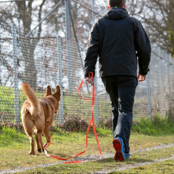 Schleppleinen Training- Gaisburg-Waldebene Ost- Radiustraining- Hundeschule Stuttgart