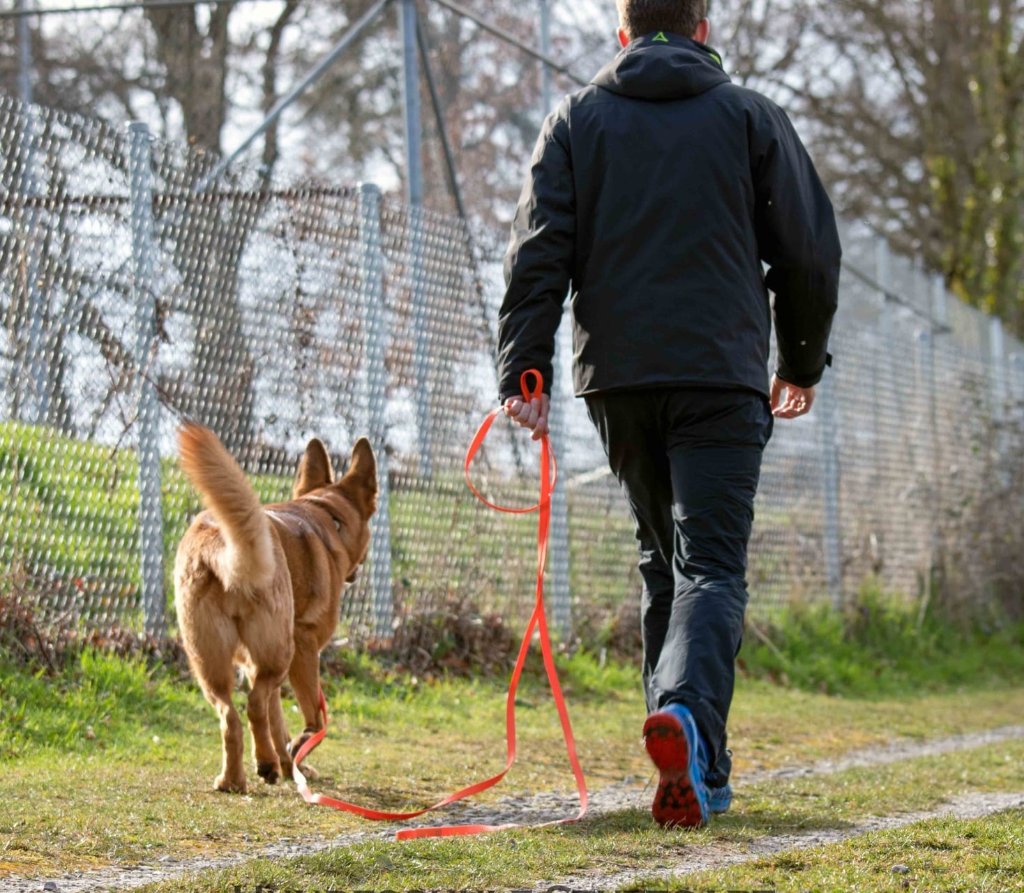 Schleppleinen Training- Gaisburg-Waldebene Ost- Radiustraining- Hundeschule Stuttgart