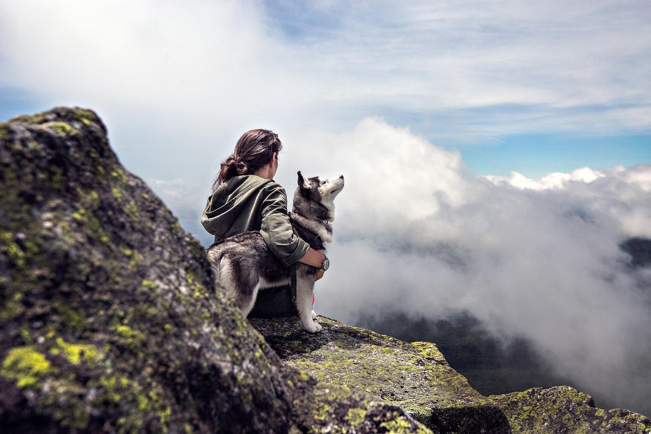 Ab in den Urlaub- entspannte Wanderung im Gebirge. Husky und sein Mensch sitzen auf einem Felsen und bewundern die Gegend