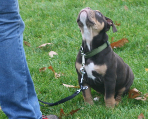 zuverlässiges Sitz-Signal halten-WaldebeneOst