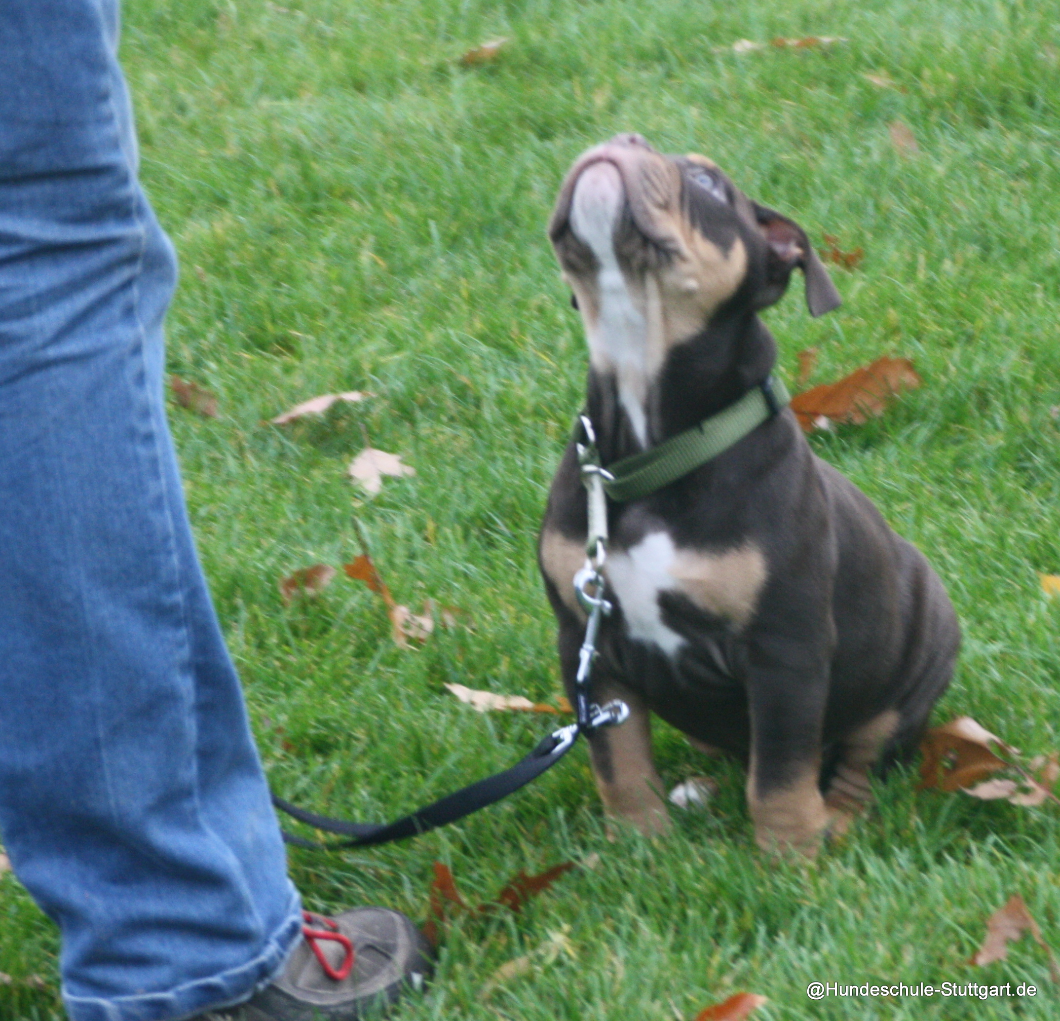zuverlässiges Sitz-Signal halten-WaldebeneOst