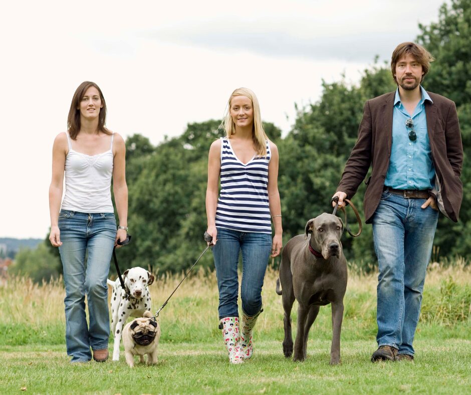 Leinenführigkeit trainieren im Asemwald der Hundeschule Stuttgart