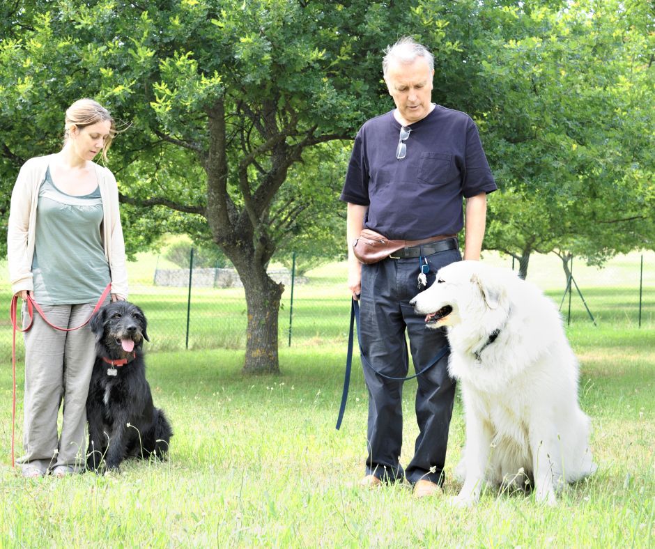 Projekt Wohlerzogen- Degerloch-Sicherheit im Alltag