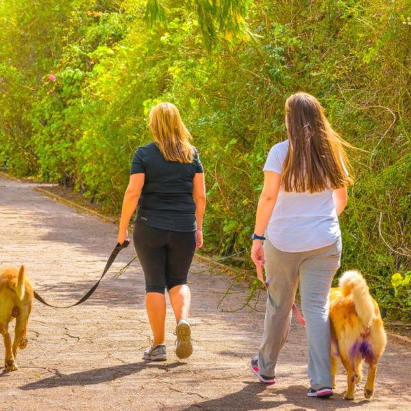 Social Walk Hundeshcule Stuttgart im Killesberg