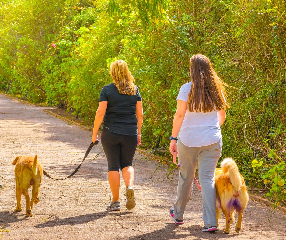 Social Walk Hundeshcule Stuttgart im Killesberg
