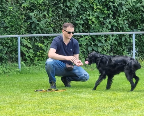 Körperspache in der Hundeerziehung. Mann ist in der Hocke und lädt durch seine Körpersprache einen schwarzen Mischling ein mit seinem Dummy näher zu kommen.