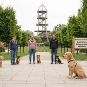 Eine kontrollierte Welpengruppe der Stuttgarter Hundeschule im Höhenpark Killesberg mit dem Killesbergturm im Hintergrund. Trainer und Halter leiten junge Hunde bei sicherem Sozialkontakt an, um den Mythos Welpenschutz durch echte Erziehung zu ersetzen.