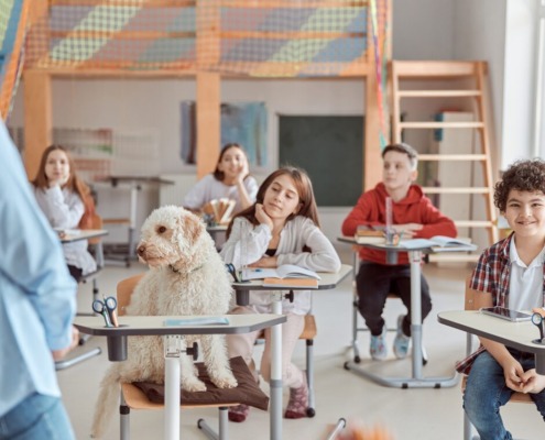 Schulhunde- oft eingesetzt auch in Stuttgarter Schulen