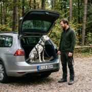 entspannter Hund - entspannter Spaziergang- Parkplatz Bärensee- Hundeschule Stuttgart-Workshop Hibbelhund