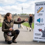 Stadttraining- Hundeschule Stuttgart- Navigation durch das Hundetraining Schloßplatz-