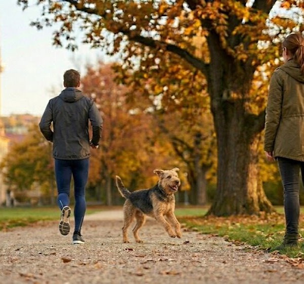 Hundetraining Rückruf in einem Stuttgarter Park: Ein Hund ignoriert einen Jogger und rennt zuverlässig zu seinem Frauchen zurück, im Hintergrund der Stuttgarter Fernsehturm.
