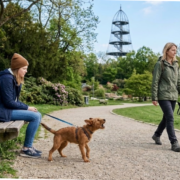 Ein Foto aus dem Killesbergpark in Stuttgart: Ein junger, bellender Hund zerrt an der Leine neben seiner Halterin, die auf einer Parkbank sitzt. Im Hintergrund geht ein entspanntes Mensch-Hund-Team vorbei. Die Szene illustriert einen klassischen Fehler im Leinentraining, den die Hundeschule Stuttgart im Blogpost analysiert.