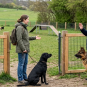 Etikette auf der Hundewiese: Ein Foto einer gepflegten, eingezäunten Hundewiese in Stuttgart. Im Vordergrund steht ein Mann mit einem Deutschen Schäferhund und spricht respektvoll mit einer Frau, die einen schwarzen Labrador an der Leine hält. Der Mann hebt eine Hand zum Gruß oder zum Signalisieren eines Stopps, was die Kommunikation zwischen Hundehaltern zeigt. Beide Hunde wirken ruhig und kontrolliert. Ein Schild am Holzzaun weist auf die wichtigsten Regeln zur Etikette hin (Höflichkeit, Ruhe & Kommunikation). Im Hintergrund ist eine grüne Hügellandschaft zu sehen.