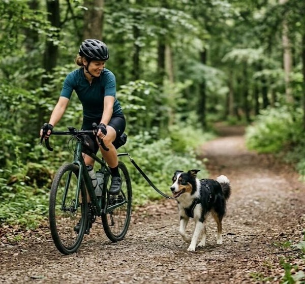 Radfahren mit Hund: Eine Radfahrerin im Sportdress mit Helm fährt im schattigen Wald auf einem unbefestigten Weg. Ihr Hund, ein Border Collie im Geschirr, trabt angeleint an einer speziellen Fahrradhalterung fröhlich neben dem Rad her. Professionelles Training der Hundeschule Stuttgart